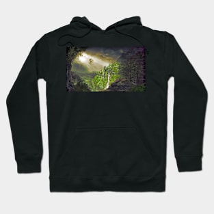 dragon over the valley Hoodie